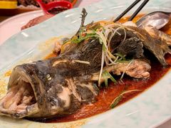 -北塘海鲜·天津菜·鲅鱼水饺是一绝(大光明桥旗舰店)