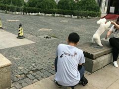 -超宠爱宠物摄影-Super pet