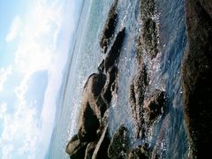 -西涌国际滨海旅游区