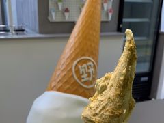 -野人先生现做冰淇淋(北京悠唐购物中心店)