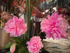 -苏浙汇(古北店)
