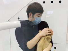 -BABYDOG宝贝狗宠物乐园(欧洲城店)