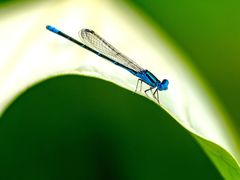 -为民烧烤吧.自贡爆炒菜(收录10年好店)