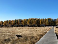 -塞罕坝国家级自然保护区