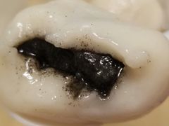 黑芝麻汤圆-祥记汤圆(东宝兴路店)