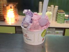iphone_upload_pic-柠檬车露(卖草地店)