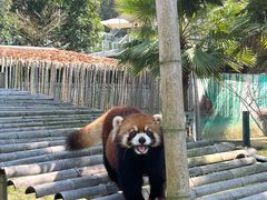 -泉州海丝野生动物世界