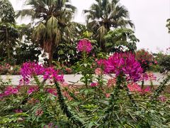 -人民公园(罗湖区)