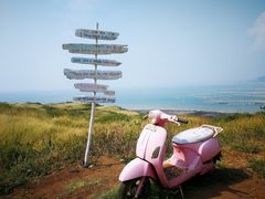 -漳州滨海火山岛自然生态风景区