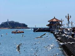 -郑庄脂渣海鲜楼(九水路店)