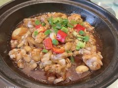焗焗牛蛙煲-松沪名灶·豆浆鱼头·新上海菜(飞航吾悦广场店)