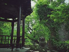 -朴园