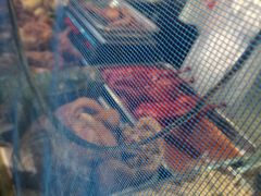 -阿二烤鸡(山塘街店)