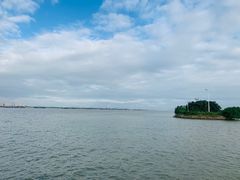 -大湾区中央湿地公园-十九涌