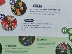 -万顷园艺世界