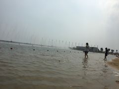 -碧海金沙
