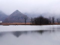 -大九湖