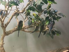 -常州海昌海洋探索馆