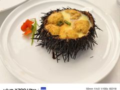 -品海楼·大连海胆锅贴馆(东港店)