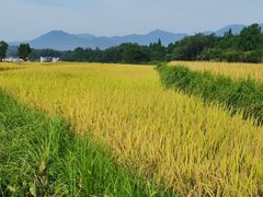 -塔川景区