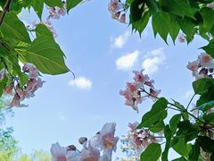 -元大都城垣遗址公园