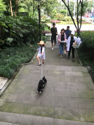 -幺幺BABY婚纱摄影