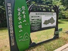 -青枫公园
