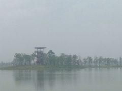 -金钉子远古世界景区