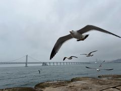 -星海广场