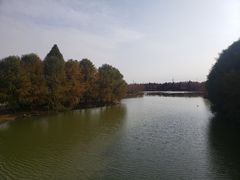 -上海海湾国家森林公园