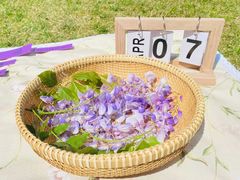 -硅谷蒙学幼儿园