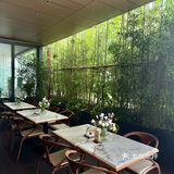 东莞周末避世🌷竹林里的花艺氛围餐厅🍽️