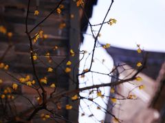 -回龙窝历史文化街区