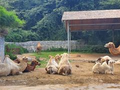 -贵州森林野生动物园