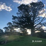 我们跟一日游的团来的，从奥克兰市区到这边大约两个半小时