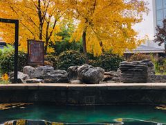 -中家鑫园温泉酒店鑫悦汤泉