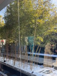 -爱儿美儿童摄影(朝阳公园店)