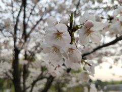 -公益图书馆(江南大学店)