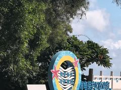 -广东惠东海龟国家级自然保护区