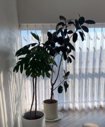 -HEYAN荷妍专业脱毛连锁机构