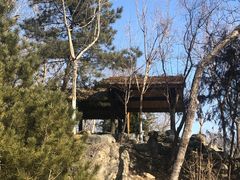 -阳台山自然风景区