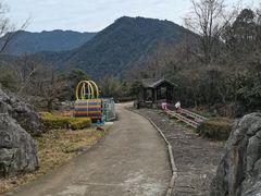 -千岛湖石林