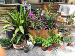 室外景象-韩国한국厨房
