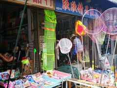 -哈尔滨道外花鸟鱼市场