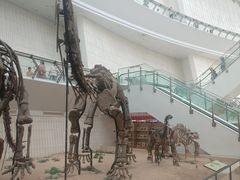 -天津自然博物馆