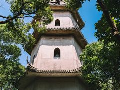 -江心屿景区
