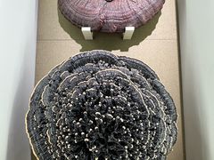 -北京中医药大学-中医药博物馆