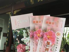 -南汇桃花村