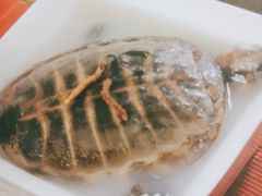 -天津市第二中学