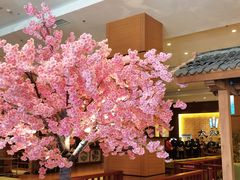 -大江户·温泉洗浴(浑南店)